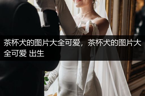 茶杯犬的圖片大全可愛，茶杯犬的圖片大全可愛 出生