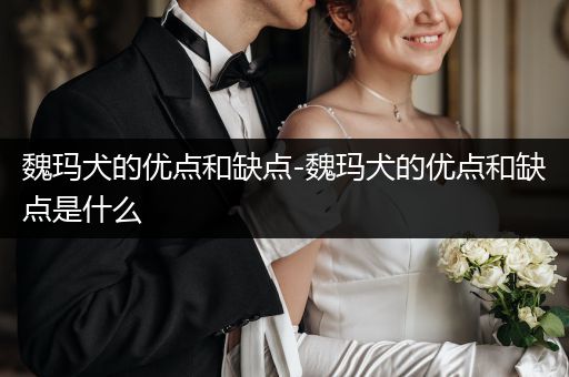 魏瑪犬的優(yōu)點和缺點-魏瑪犬的優(yōu)點和缺點是什么