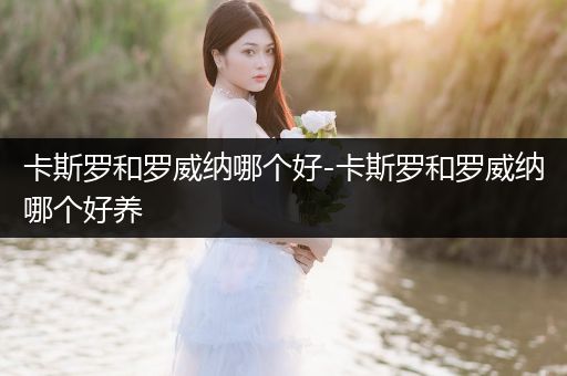 卡斯羅和羅威納哪個(gè)好-卡斯羅和羅威納哪個(gè)好養(yǎng)