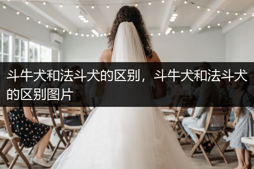 斗牛犬和法斗犬的區(qū)別，斗牛犬和法斗犬的區(qū)別圖片