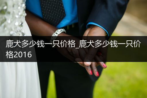 鹿犬多少錢(qián)一只價(jià)格_鹿犬多少錢(qián)一只價(jià)格2016