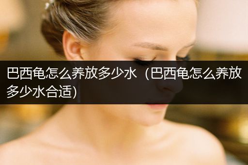 巴西龜怎么養(yǎng)放多少水（巴西龜怎么養(yǎng)放多少水合適）