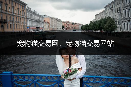寵物貓交易網(wǎng)，寵物貓交易網(wǎng)站