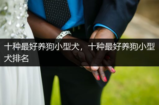 十種最好養(yǎng)狗小型犬，十種最好養(yǎng)狗小型犬排名