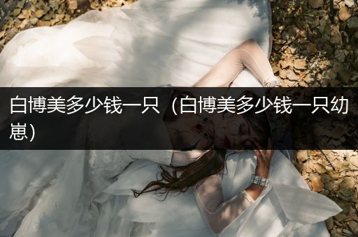 白博美多少錢一只（白博美多少錢一只幼崽）