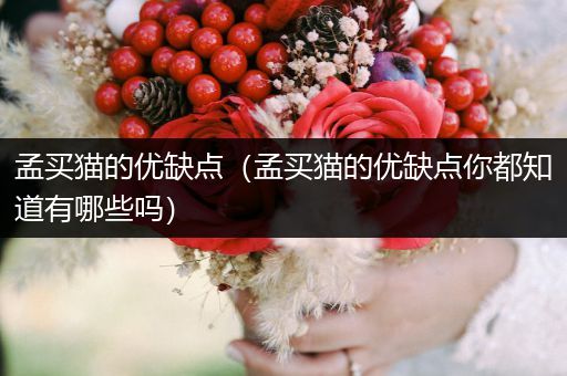 孟買貓的優(yōu)缺點（孟買貓的優(yōu)缺點你都知道有哪些嗎）