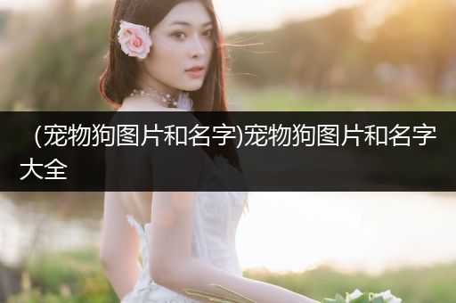 （寵物狗圖片和名字)寵物狗圖片和名字大全