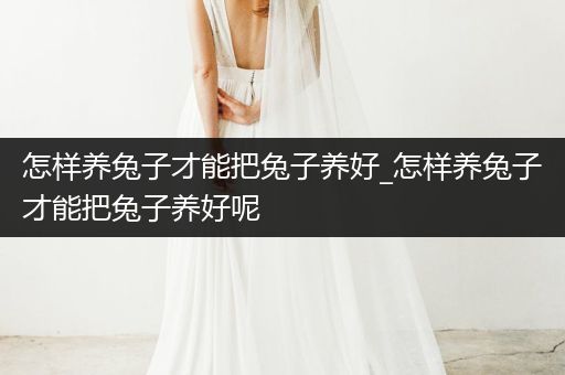 怎樣養(yǎng)兔子才能把兔子養(yǎng)好_怎樣養(yǎng)兔子才能把兔子養(yǎng)好呢