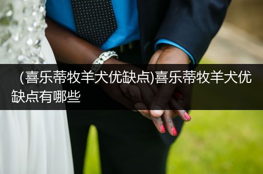 （喜樂蒂牧羊犬優(yōu)缺點)喜樂蒂牧羊犬優(yōu)缺點有哪些