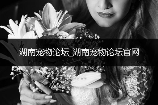 湖南寵物論壇_湖南寵物論壇官網(wǎng)