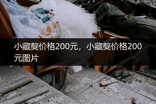 小藏獒價(jià)格200元，小藏獒價(jià)格200元圖片