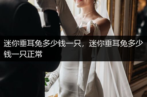 迷你垂耳兔多少錢一只，迷你垂耳兔多少錢一只正常