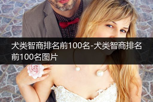 犬類智商排名前100名-犬類智商排名前100名圖片