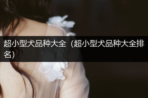 超小型犬品種大全（超小型犬品種大全排名）