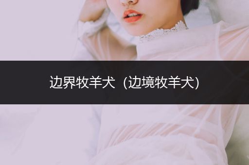 邊界牧羊犬（邊境牧羊犬）