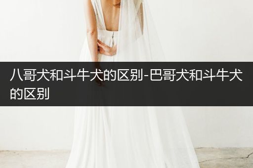 八哥犬和斗牛犬的區(qū)別-巴哥犬和斗牛犬的區(qū)別