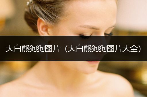 大白熊狗狗圖片（大白熊狗狗圖片大全）