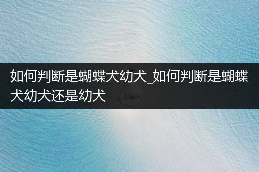 如何判斷是蝴蝶犬幼犬_如何判斷是蝴蝶犬幼犬還是幼犬