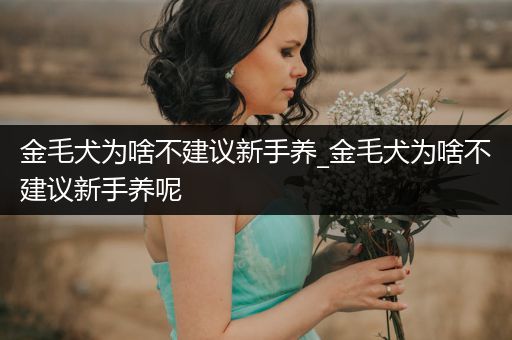 金毛犬為啥不建議新手養(yǎng)_金毛犬為啥不建議新手養(yǎng)呢