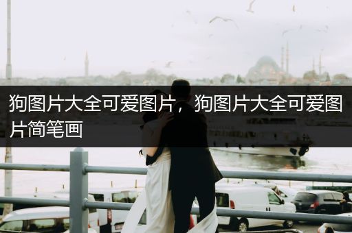 狗圖片大全可愛圖片，狗圖片大全可愛圖片簡筆畫