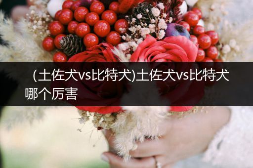 （土佐犬vs比特犬)土佐犬vs比特犬哪個厲害