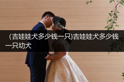 （吉娃娃犬多少錢一只)吉娃娃犬多少錢一只幼犬