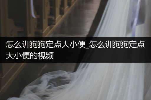 怎么訓(xùn)狗狗定點(diǎn)大小便_怎么訓(xùn)狗狗定點(diǎn)大小便的視頻