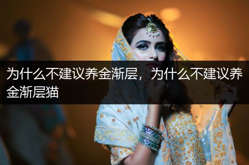 為什么不建議養(yǎng)金漸層，為什么不建議養(yǎng)金漸層貓