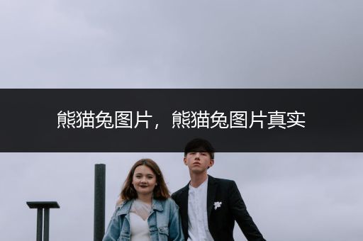 熊貓兔圖片，熊貓兔圖片真實