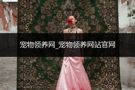 寵物領(lǐng)養(yǎng)網(wǎng)_寵物領(lǐng)養(yǎng)網(wǎng)站官網(wǎng)