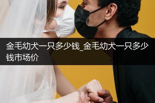 金毛幼犬一只多少錢_金毛幼犬一只多少錢市場價