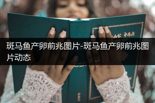 斑馬魚產(chǎn)卵前兆圖片-斑馬魚產(chǎn)卵前兆圖片動態(tài)