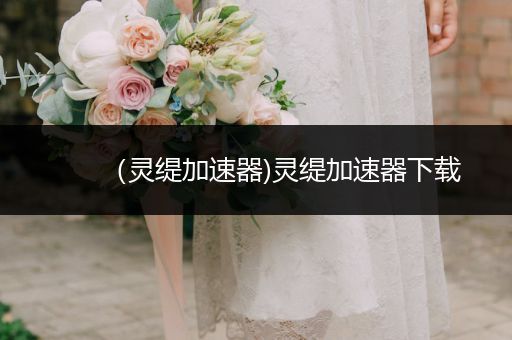 （靈緹加速器)靈緹加速器下載