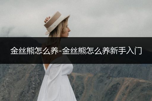 金絲熊怎么養(yǎng)-金絲熊怎么養(yǎng)新手入門