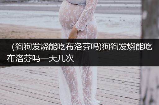 （狗狗發(fā)燒能吃布洛芬嗎)狗狗發(fā)燒能吃布洛芬嗎一天幾次