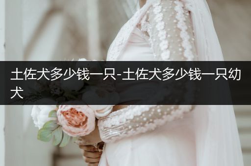土佐犬多少錢一只-土佐犬多少錢一只幼犬