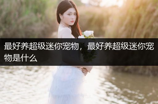 最好養(yǎng)超級(jí)迷你寵物，最好養(yǎng)超級(jí)迷你寵物是什么