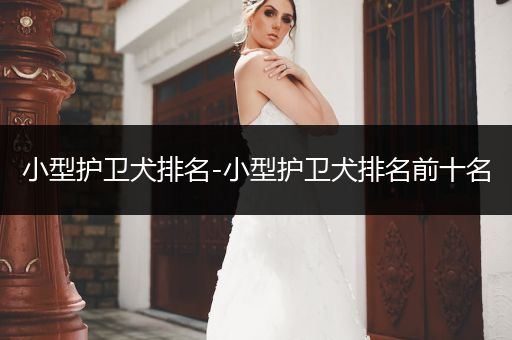 小型護衛(wèi)犬排名-小型護衛(wèi)犬排名前十名