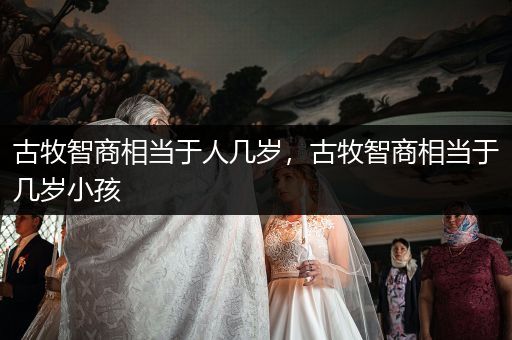 古牧智商相當(dāng)于人幾歲，古牧智商相當(dāng)于幾歲小孩