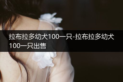 拉布拉多幼犬100一只-拉布拉多幼犬100一只出售
