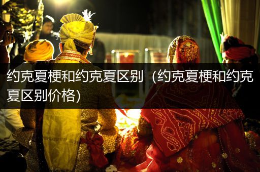 約克夏梗和約克夏區(qū)別（約克夏梗和約克夏區(qū)別價(jià)格）