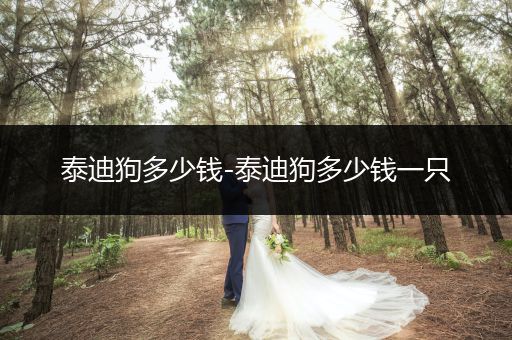 泰迪狗多少錢-泰迪狗多少錢一只