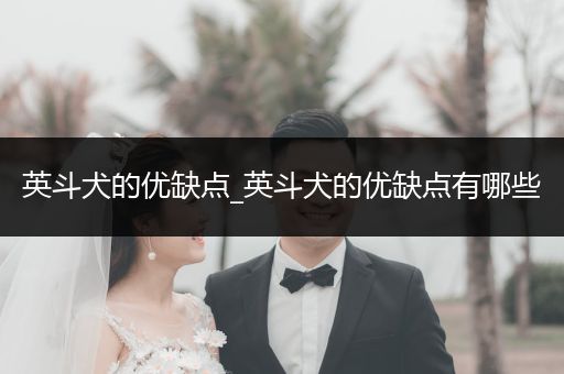 英斗犬的優(yōu)缺點(diǎn)_英斗犬的優(yōu)缺點(diǎn)有哪些