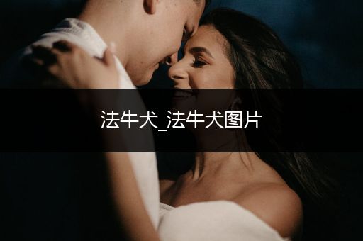 法牛犬_法牛犬圖片