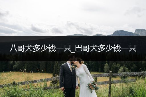 八哥犬多少錢一只_巴哥犬多少錢一只