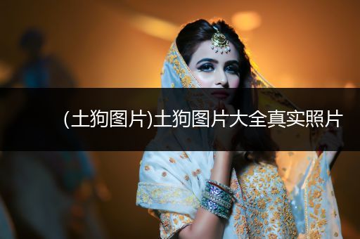 （土狗圖片)土狗圖片大全真實照片