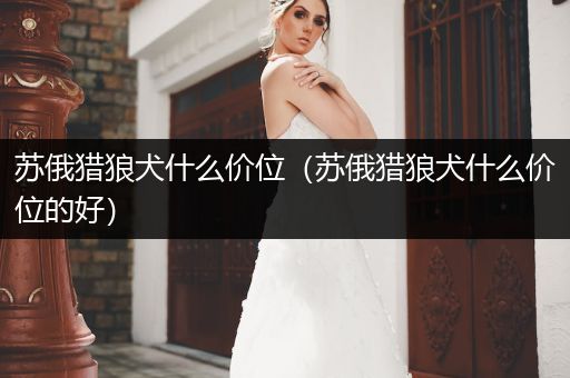 蘇俄獵狼犬什么價位（蘇俄獵狼犬什么價位的好）