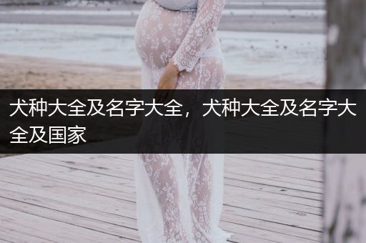 犬種大全及名字大全，犬種大全及名字大全及國家