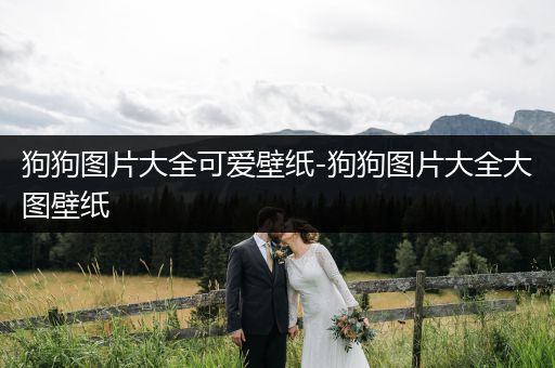 狗狗圖片大全可愛壁紙-狗狗圖片大全大圖壁紙