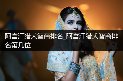 阿富汗獵犬智商排名_阿富汗獵犬智商排名第幾位